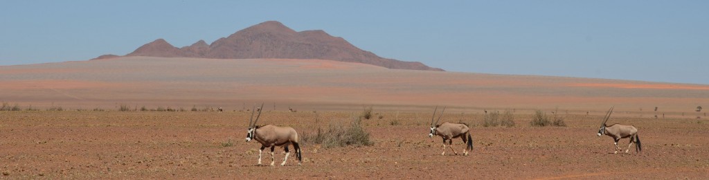 4x4 Africa - Namibia 4x4 Trails