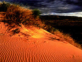 Kalahari Dunes - Northern Cape