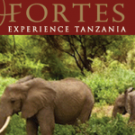 Fortes Safaris - 4x4 and Camper Rental
