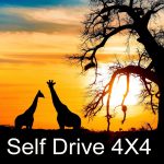 Self Drive - 4x4 and Camper Rental